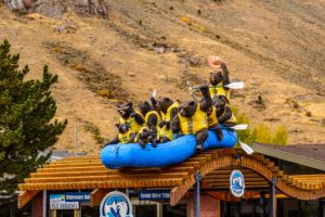 USA, Wyoming, Jackson Hole, Jackson, Rafting Werbung, Bärenfiguren USA, Wyoming, Jackson Hole, Jackson, Rafting Werbung, Bärenfiguren